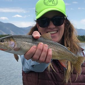 Meet your Posher, Louisa